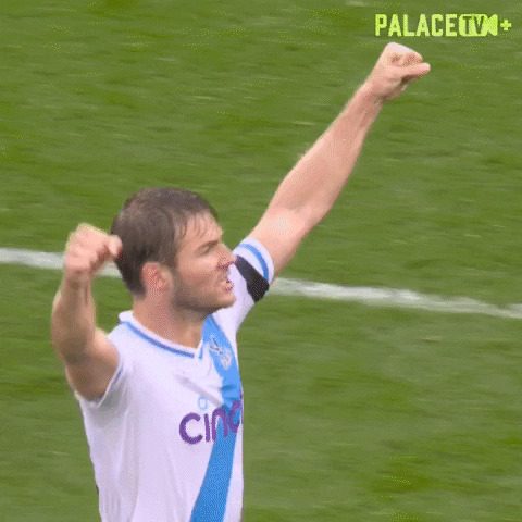 Come On Yes GIF by Crystal Palace Football Club