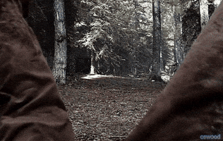 Tucker And Dale Vs Evil Horror GIF