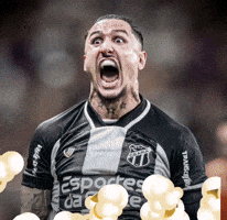 Fortaleza Ec Lion GIF