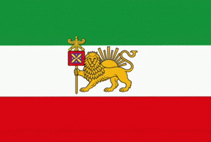 King Freedom GIF