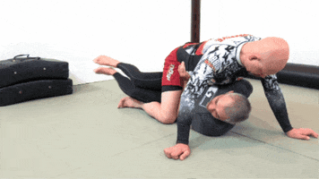 Bjj Mount Escape GIF