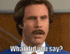 Ron Burgundy What GIF