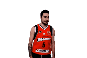 Basketball Sticker by Cherkaski Mavpy