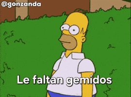 Homero Simpson Simpsons GIF