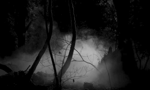 diarios de um vampiro