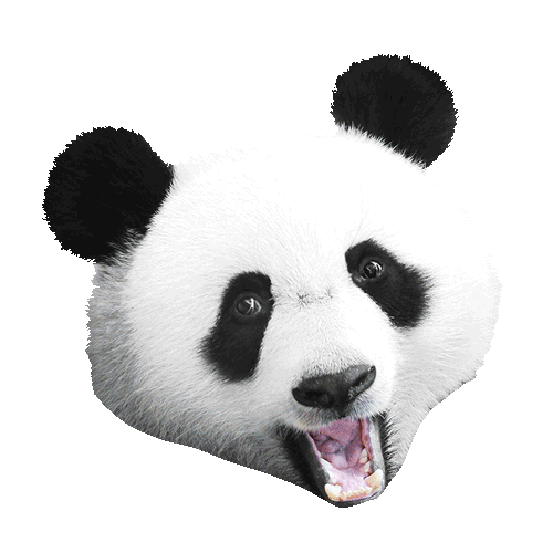 Ruoka Laku Sticker by Panda