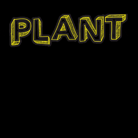 Plant Eat GIF by CanolaGrowers