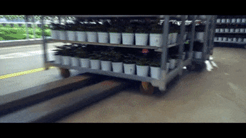 GartenbauWelzel GIF