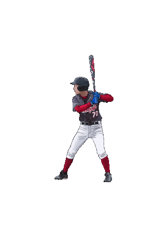 Blackbirds Sticker by VfB Fallerlsleben e.v.