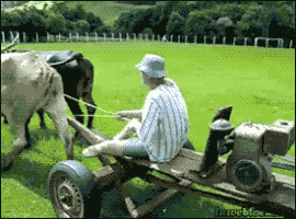 mower lawnmowers GIF