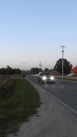 Cars Trucks GIF