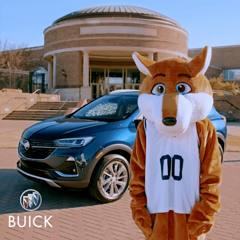 Fox Brushing GIF by Buick