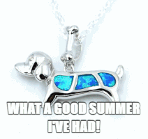 asdafil summer pet gift jewelry GIF