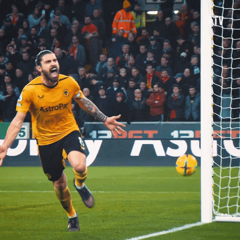 Yelling Premier League GIF by Wolves