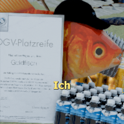 Goldfisch GIF