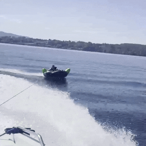 MINT Snowboarding GIF