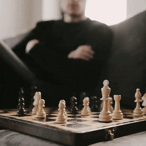 Vote Decide GIF by Election
