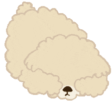 Scared Poodle Sticker