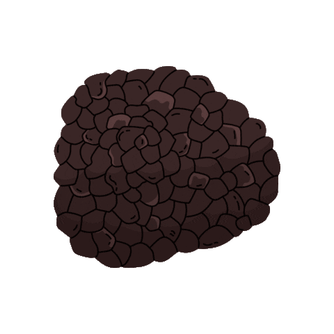 Comida Gourmet Sticker by Grupo Trivio