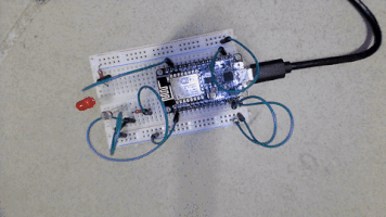 anaptfox  GIF