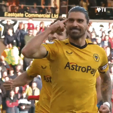 Get In There Come On GIF by Wolves