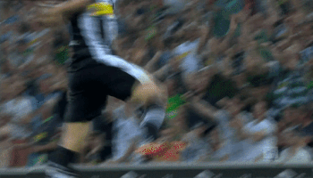 celebration die fohlen GIF by Borussia Mönchengladbach
