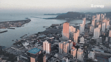 GIF by Cronos Logistics