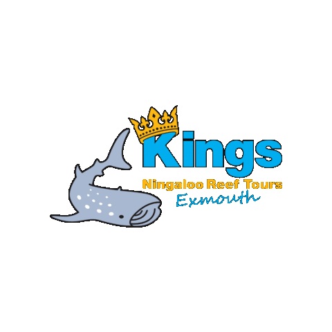 KingsNingalooReefTours Sticker