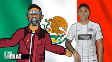 world cup mexico GIF by Bundesliga