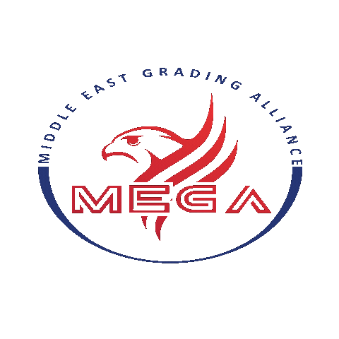 Megalogo Sticker by MEGA