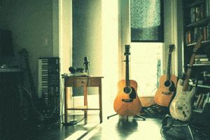 Jeremy Berman Put-In-Bay GIF