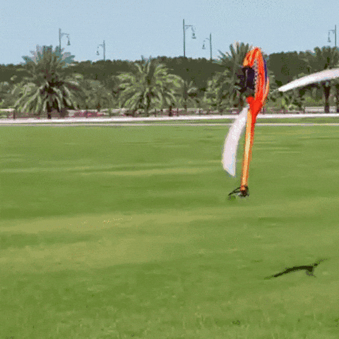 helicopter is it working GIF