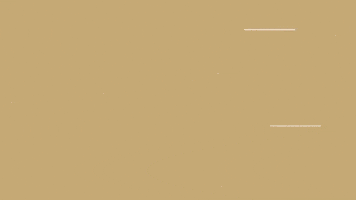 Nascar Jhn GIF by LEGACY MOTOR CLUB