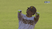 Machado-padres GIFs - Get the best GIF on GIPHY