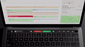 GIF by Reifstore