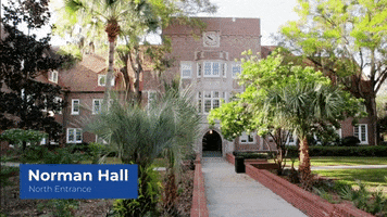 Norman Hall Ufcoe GIF by University of Florida College of Education
