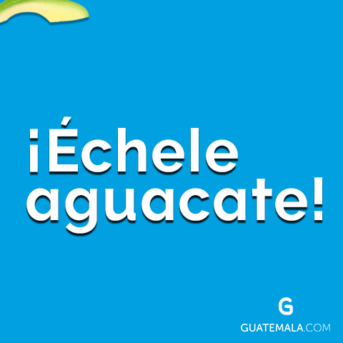 Echeleaguacate GIF by Guatemala.com