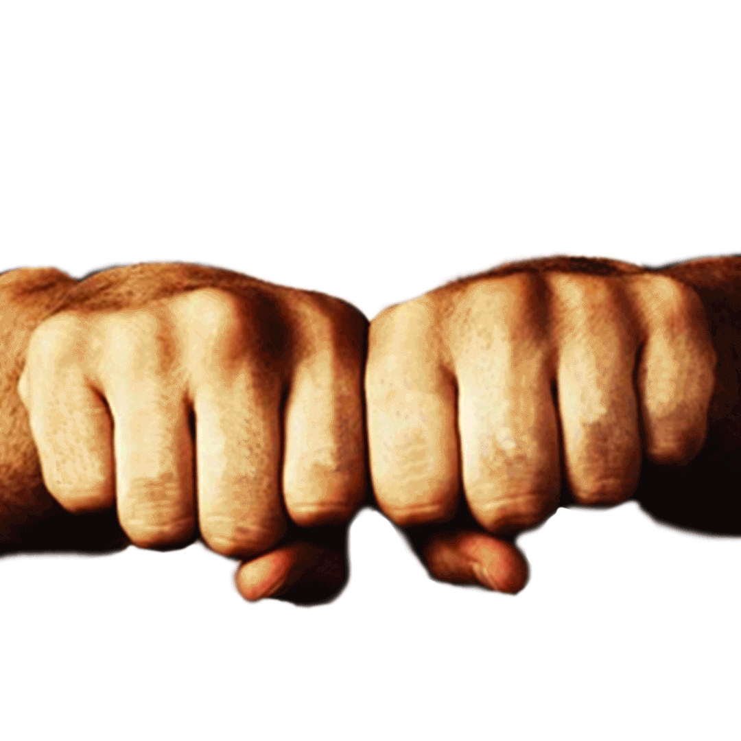 Rugby Venezuela Sticker by Ron Santa Teresa