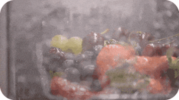 GIF by Loch Electronics