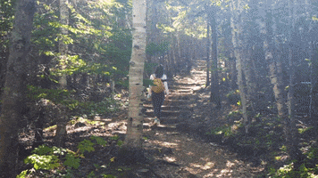 National Park Acadia GIF by Chris