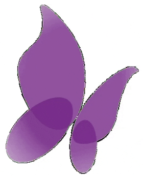 Fundación Síndrome de Dravet GIF