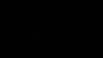 Martial Arts Artes Marciais GIF by Krav-Maga BUKAN Goiânia
