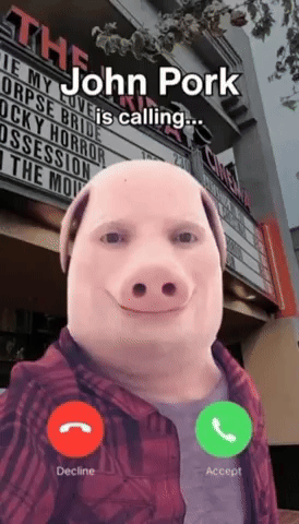 Memes GIF