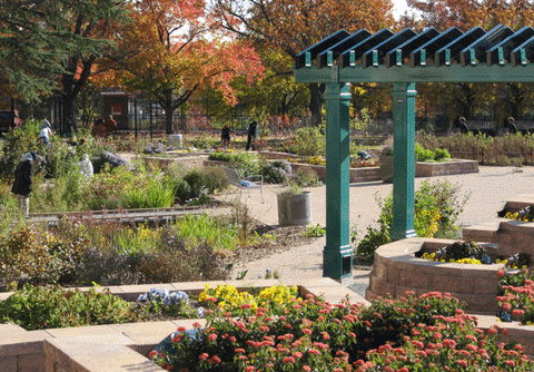 garden