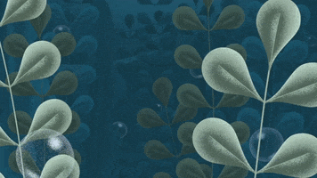 cutoutanimationstudio plant bubbles underwater emptysea GIF