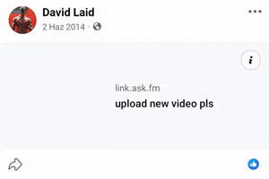 David Laid New Vid GIF