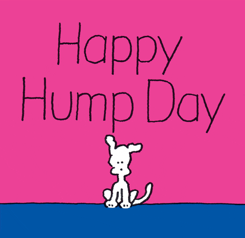 happy hump day cartoon