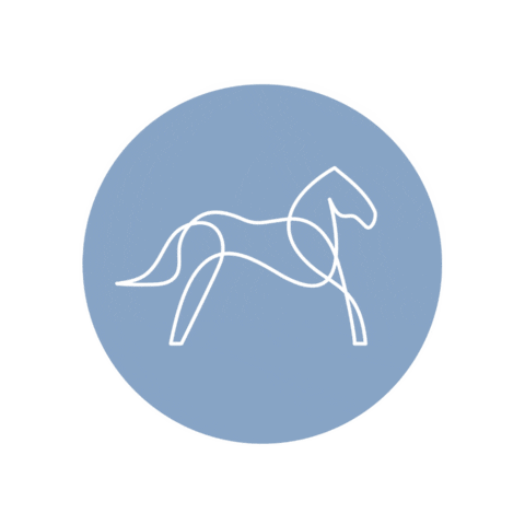 Pferdechiro Sticker by Pferdechiro_sarahpoth