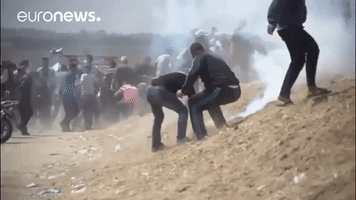 GIF by euronews