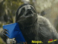 how about no sloth gif